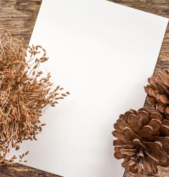 Trockene Blumen auf weißem Papier — Stockfoto