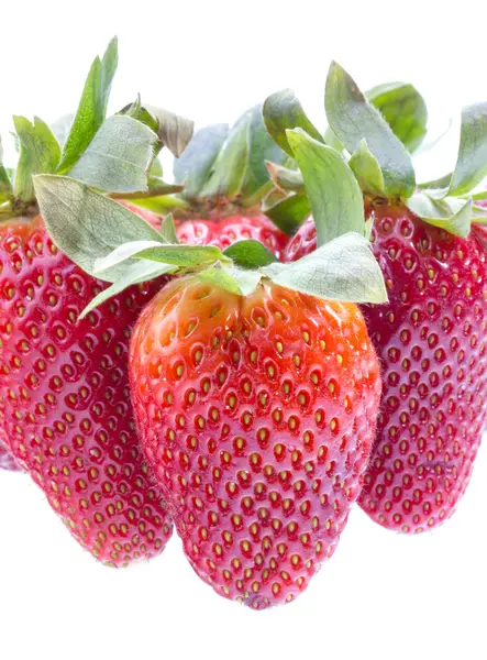 Fragole — Foto Stock