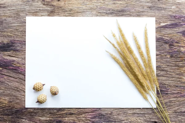 Ears of wheat on white paper — Stock Photo, Image