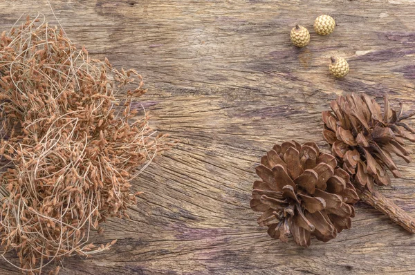 Dry flowers frame — Stock Photo, Image