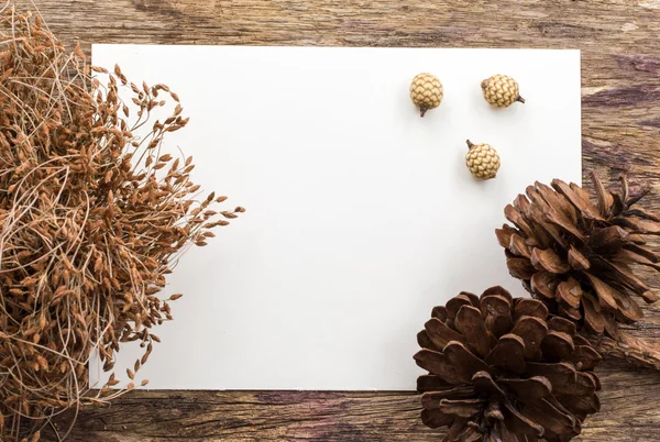 Trockene Blumen auf weißem Papier — Stockfoto