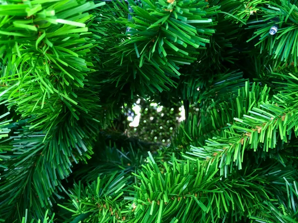 Christmas tree — Stock Photo, Image