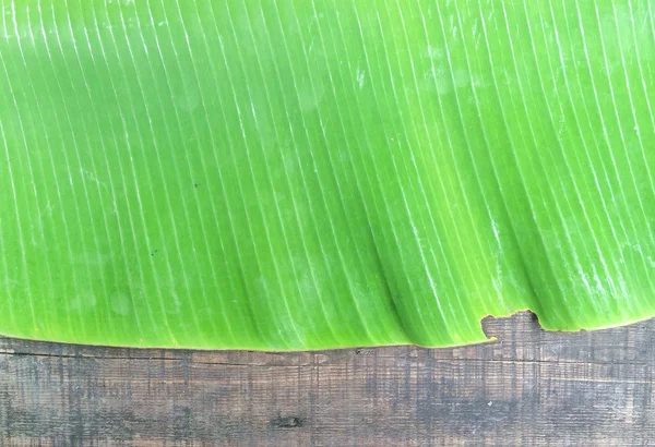 Banana leaves — Stock Photo, Image