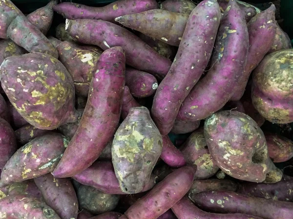 Sweet potato — Stock Photo, Image