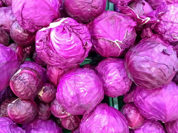 Rotkohl — Stockfoto