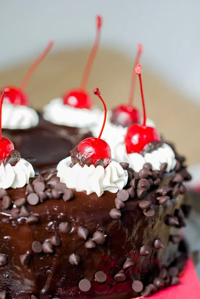 Cake — Stock Photo, Image