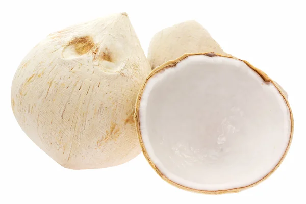Coconut fruit — Stock Photo, Image