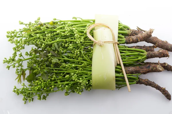 Árvore de neem siameses comida tailandesa — Fotografia de Stock