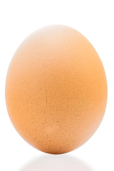 Chicken Egg isolate Stock Image