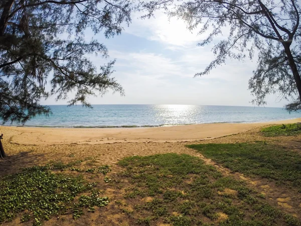 Tropischer Sandstrand — Stockfoto