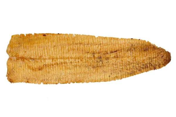 Getrockneter Tintenfisch — Stockfoto