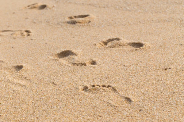 Footprints — Stock Photo, Image