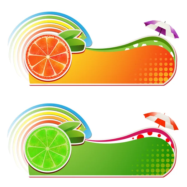 Slices grapefruit and lime — Stock Vector