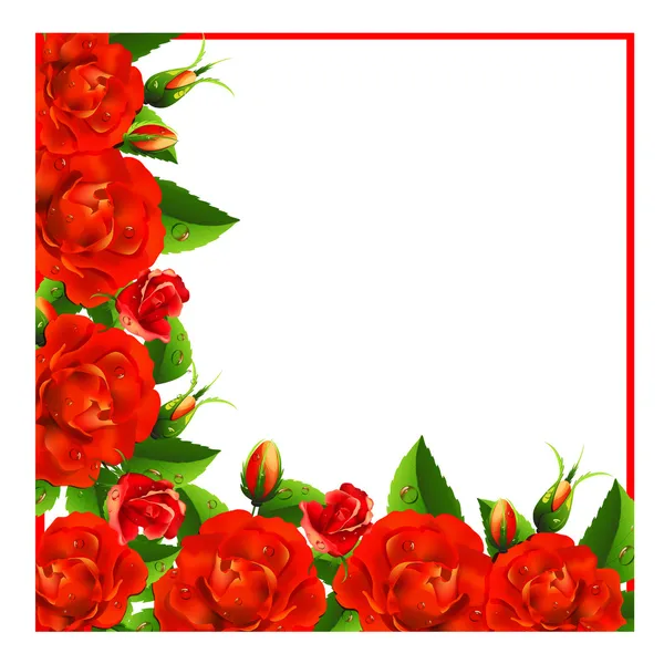 Background with roses — Stock Vector