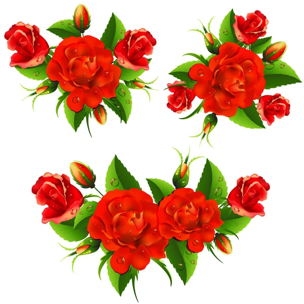 Rose rosse — Vettoriale Stock