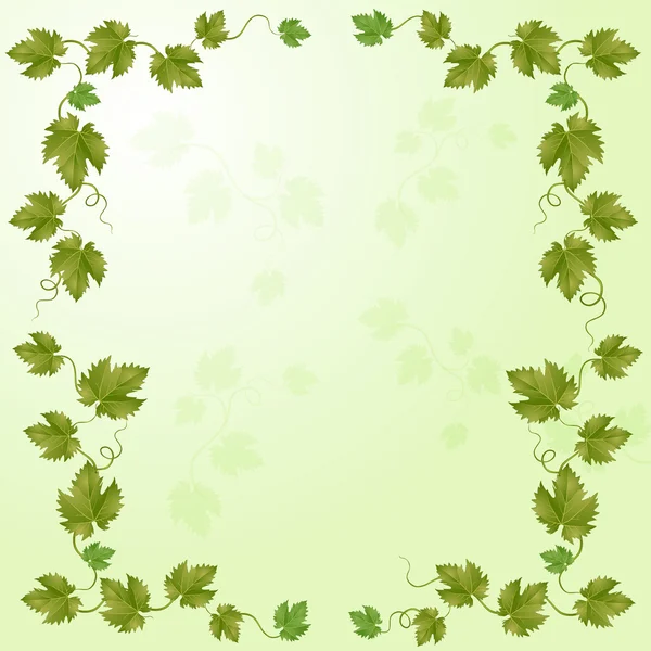 Vignoble vert — Image vectorielle