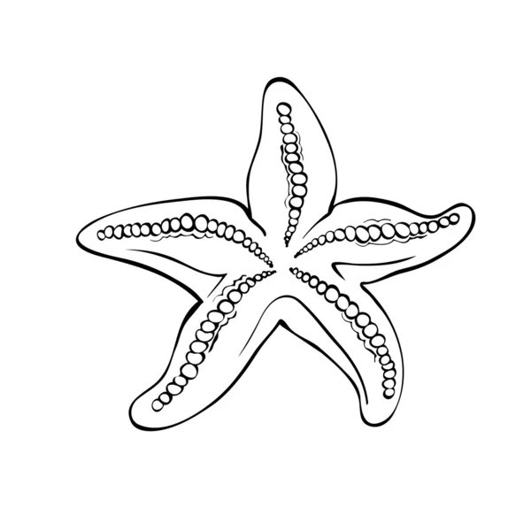 Starfish geïsoleerd op white.drawing stijl zwart-wit. — Stockvector