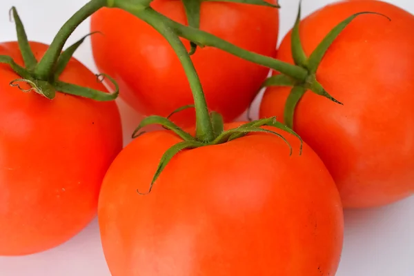 Truss of tomatoes — Stock Photo, Image