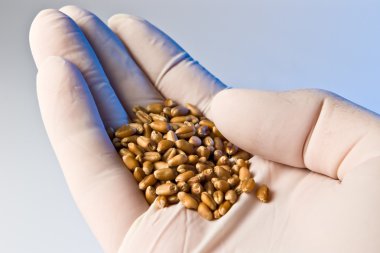 Tarım araştırma kavramı