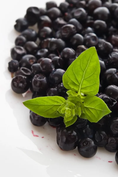 Blueberries — Stock Photo, Image