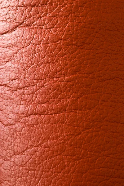 Rött läder — Stockfoto