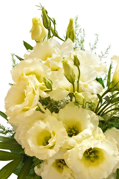 Lisianthus bloemen — Stockfoto