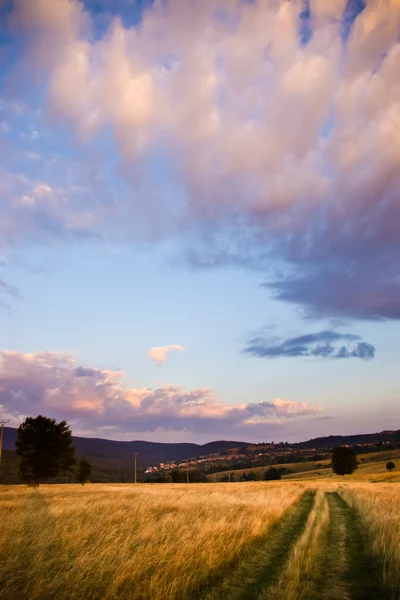 Schöner Morgen — Stockfoto