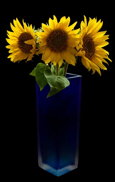 Zonnebloemen in vaas — Stockfoto