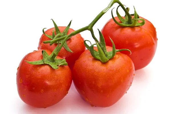 Wet tomatoes — Stock Photo, Image