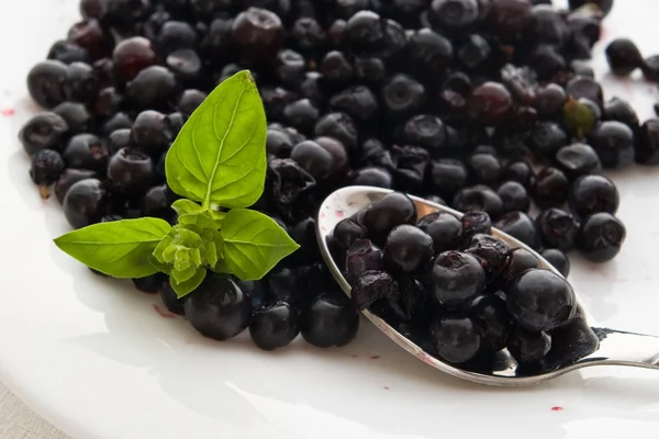 Blueberries — Stock Photo, Image