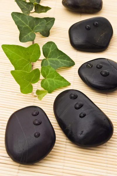 Black stones and ivy — Stock Photo, Image