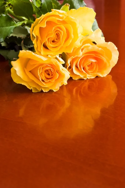 Yellow roses — Stock Photo, Image