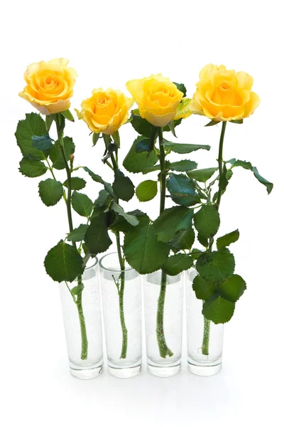 Four yellow roses — Stock Photo, Image