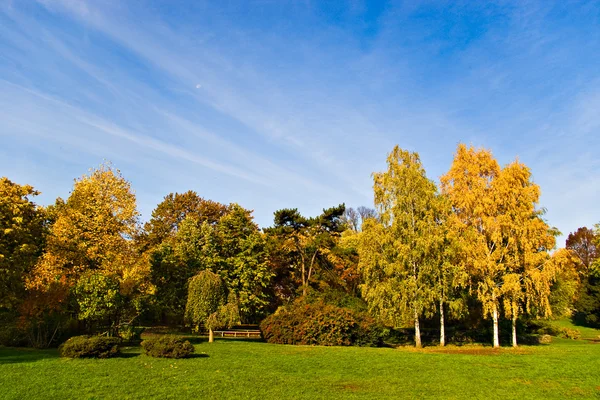 Sonbahar ağaçlar ve gökyüzü — Stok fotoğraf