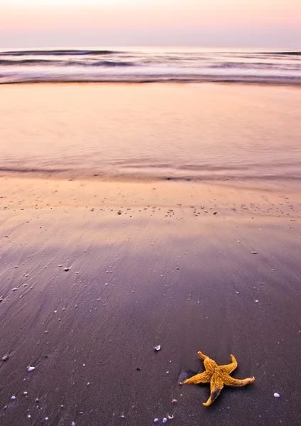 Spiaggia mattina — Foto Stock