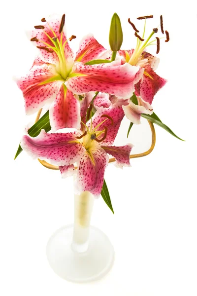 Lily bouquet — Stock Photo, Image