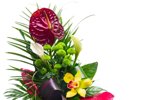 Flower bouquet isolated — Stock Photo, Image