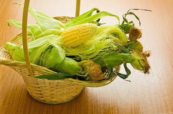 Fresh corn in basket — Stock Photo, Image