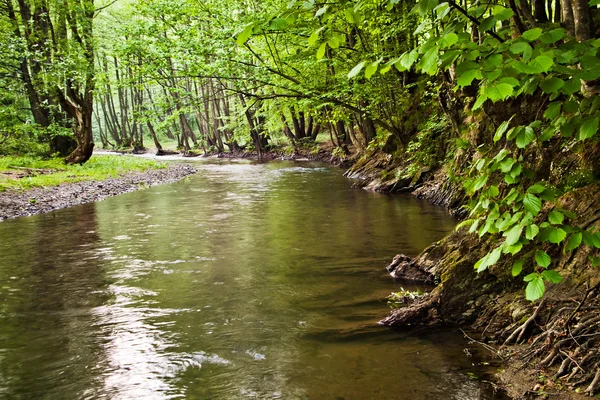 Small river — Stock Photo, Image