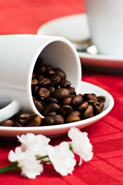 Chicchi di caffè e fiori — Foto Stock