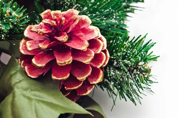 Pine cone — Stock Photo, Image