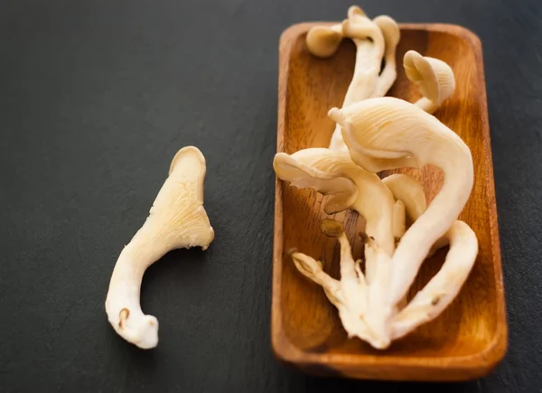 Oyster mushrooms on black — Stock Photo, Image