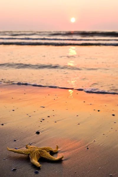 Утренний пляж — стоковое фото
