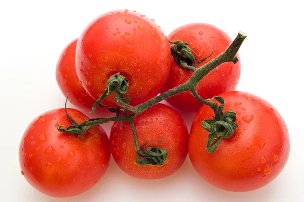 Tomatoes with water drops — Stock Photo, Image