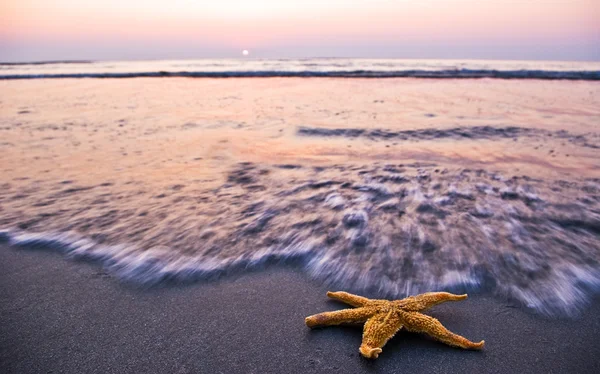Gündoğumu ve deniz yıldızı — Stok fotoğraf