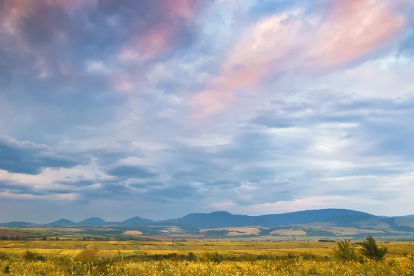 Picturesque landscape — Stock Photo, Image