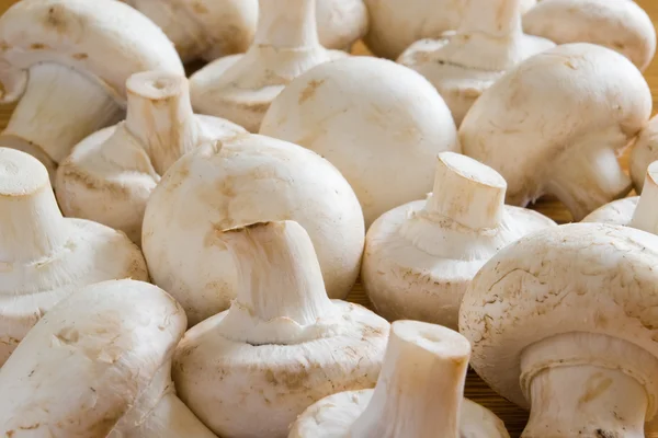 Button mushrooms — Stock Photo, Image