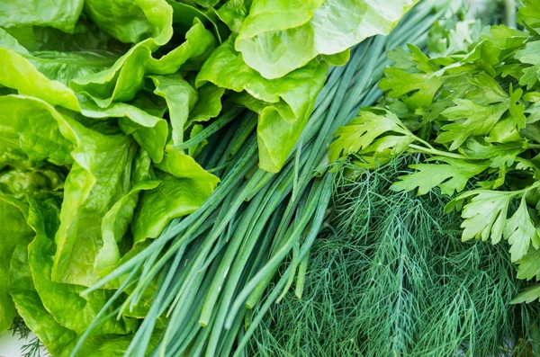 Verduras frescas — Foto de Stock