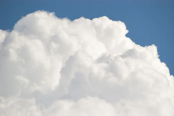 Cumulus хмара Стокова Картинка