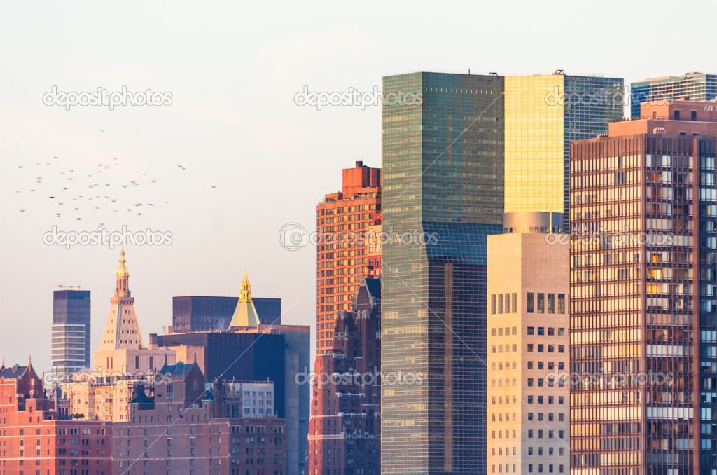 Skyscrapers in New York